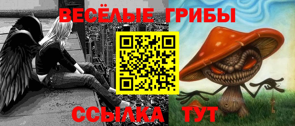 Галлюциногенные грибы Psilocybine cubensis Артёмовский